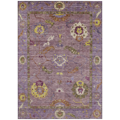 Machine Washable Indoor/Outdoor Kaczor ACN2229 Global Rug