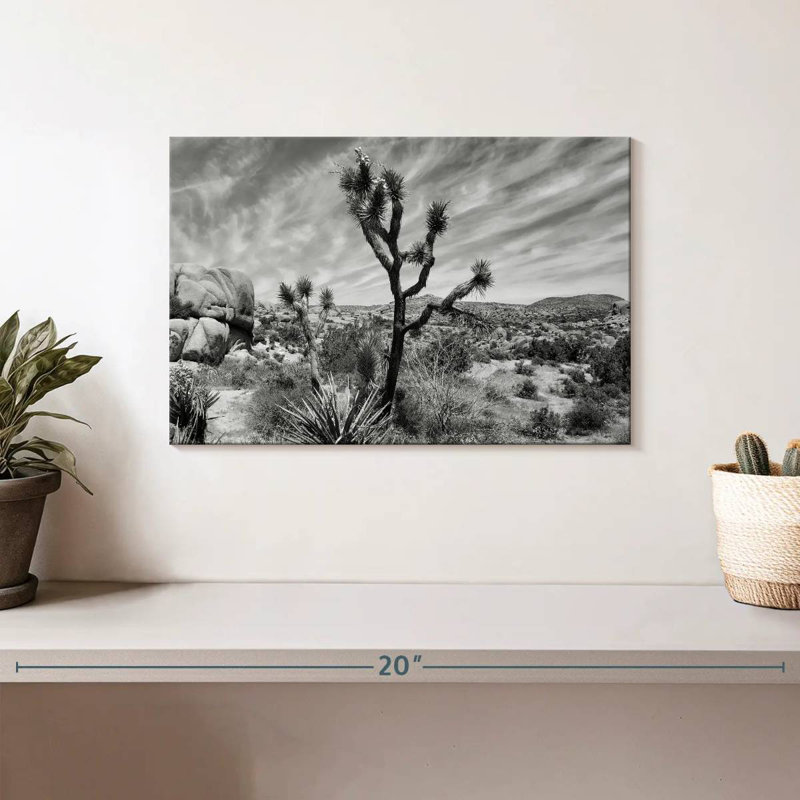 Harnek Desert Joshua Tree