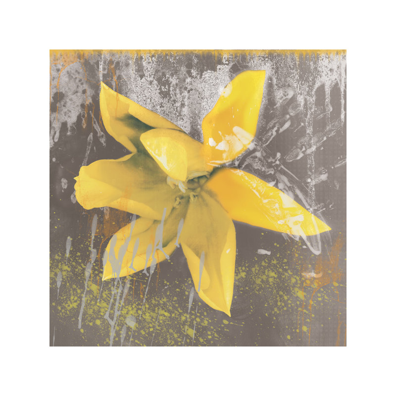 Yellow Tulip Fresco by Erin Clark - Wrapped Canvas Print, 45.72 cm H x 45.72 cm W x 1.91 cm D