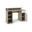 Wilton Desk-1587451386-1587638058