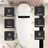Smart Toilets with Heated Bidet Seat.Portable toilet with bidet built.Intelligent Toilet Auto Open/Close Seat. Bidet toilet with Dryer and Warm Water