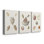 Pastel Knorr Shells VI  -Custom Wrapped Gallery Canvas - 3 Pieces