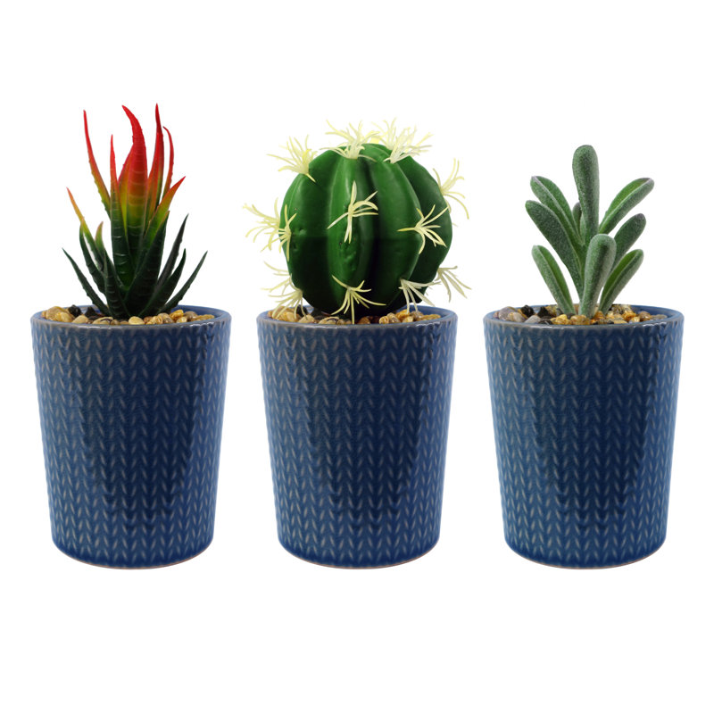 Annistin 17cm Plant, Blue