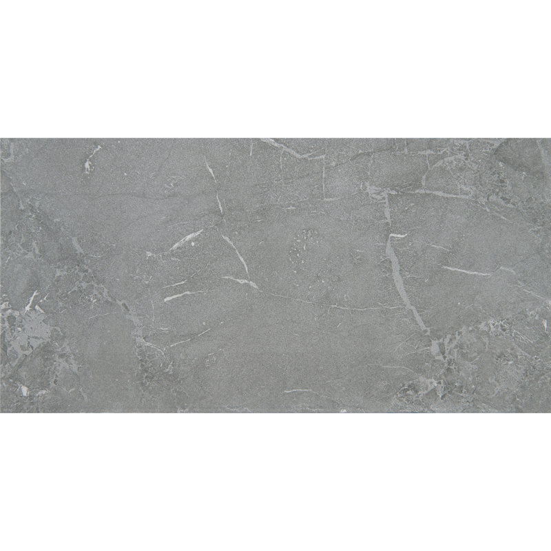 Daltile Enlite 15 x 30 Floor Tile (5 PC Per Carton) (15.65 SQFT Per Carton), Transcend