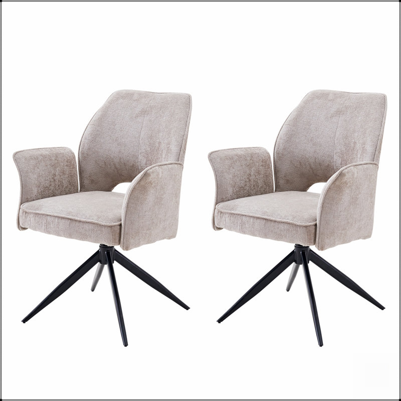 Ensemble de 2 chaises de salle à manger rotatives Modern, Gris, Noir