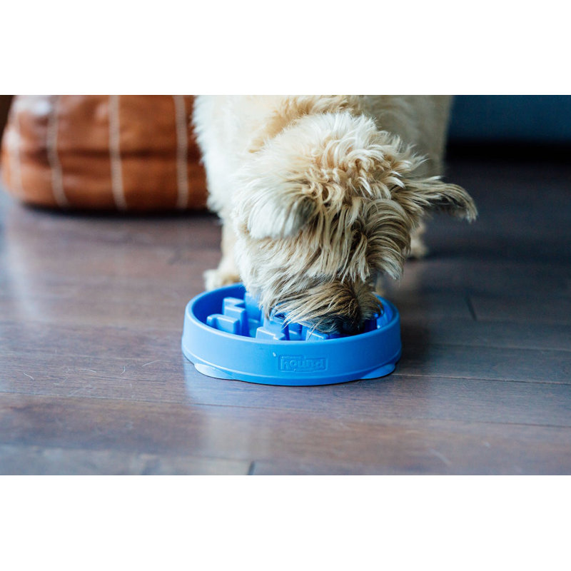 Blue Non-Slip Medium Slow Feeder Dog Bowl