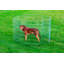 Enclos d'exercice pour chien 42 po friedrich