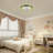Modern Ceiling Fans With Lights and Remote LED Ceiling Fan Ceiling Fans With LED Lights Dimmable RGB