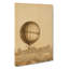 Hot Air Balloon Above Versailles Palace - Wrapped Canvas-55308946