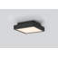 Plafonnier Patrol Q, 15 W, finition noire