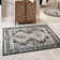 Shanil Oriental Indoor Rug