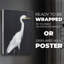 Calm Great Egret II - reproduction de toile seulement - non encadrée-117654007