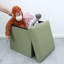 Einar 38cm Wide Square Solid Colour Ottoman with Storage-1226496083
