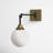 Hallas 1-Light Dimmable Swing Arm Sconce