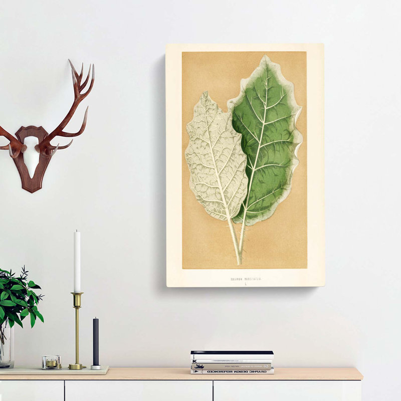 Nightshade Leaves by Benjamin Fawcett - Wrapped Canvas Print, 91cm H x 60cm W x 3cm D