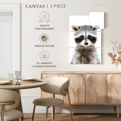 Adorable Baby Raccoon