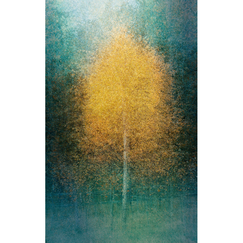 Wrapped Canvas Print, 50.8 cm H x 76.2 cm W