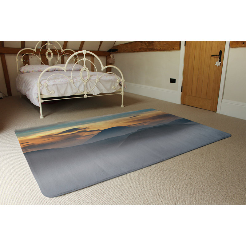 Jaazaniah Shag Area Rug, Rectangle 60 x 110cm