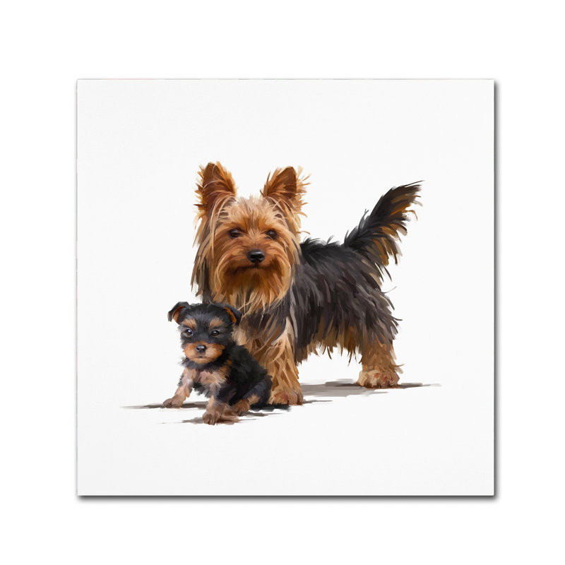 «Armand Yorky» par Armand, reproduction sur toile, H 18 po x l 18 po x P 2 po