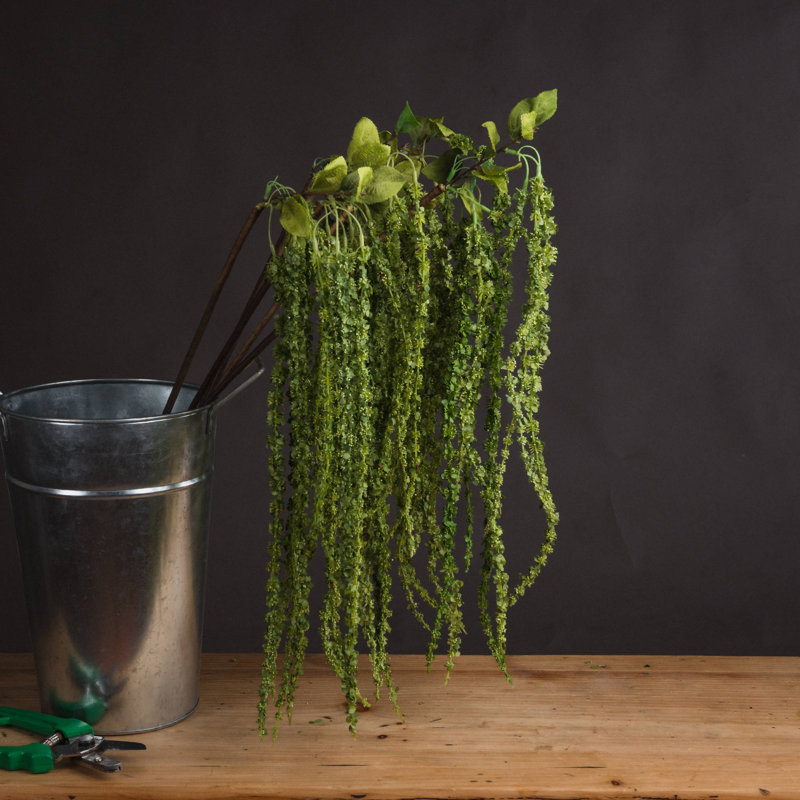 Amaranthus Arrangement