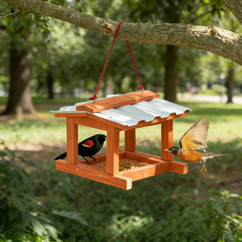 Mangeoires pour animaux, mangeoire à oiseaux en bois avec toit en PVC pour suspendre l'extérieur, idéal pour attirer les oiseaux
