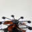 Jackquelin 21.66'' Ceiling Fan with LED Lights