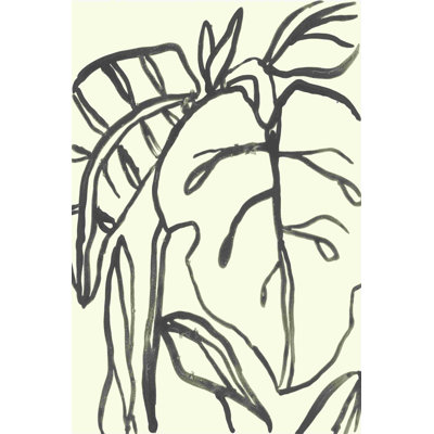 Contour tropical I
