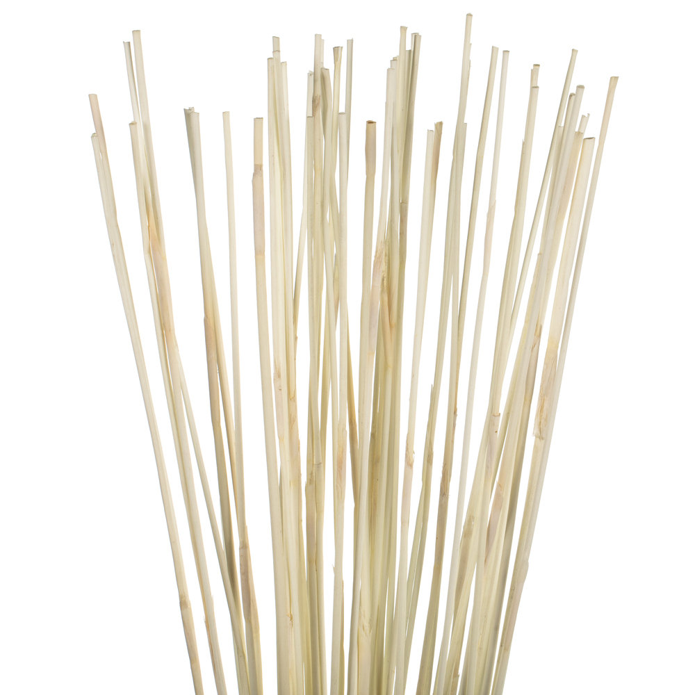 Dried Elephant Reed Stems, Bleached