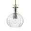 Mini-luminaire suspendu 1 lumière Portree Carafe