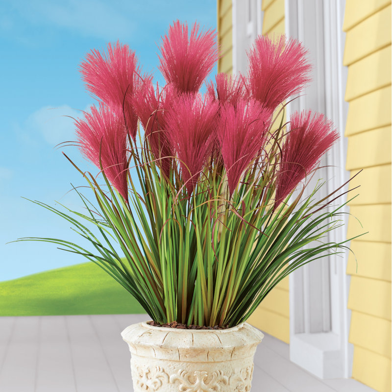Pampas