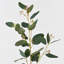 Branche d'eucalyptus artificiel Audet (1 tige)-640572625