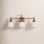 3-Light Dimmable Brass Vanity Light