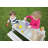 Roba Deluxe 89cm x 85cm Solid Wood Rectangular Sand And Water Table-39359906