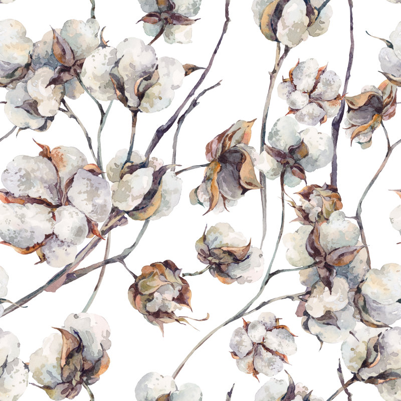Seattle Cotton Flowers - Wrapped Canvas Painting, 51cm H x 51cm W x 3.8cm D