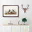 Ring Plover Birds by John Audubon - Picture Frame Painting Print-55598769-55598776