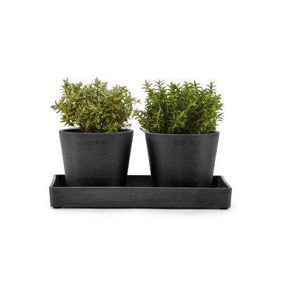 Pot Planter