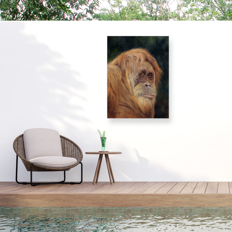 Toile d'orang-outan David, H 14 po x l 19 po