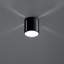 Kheyla Flush Mount-283239593