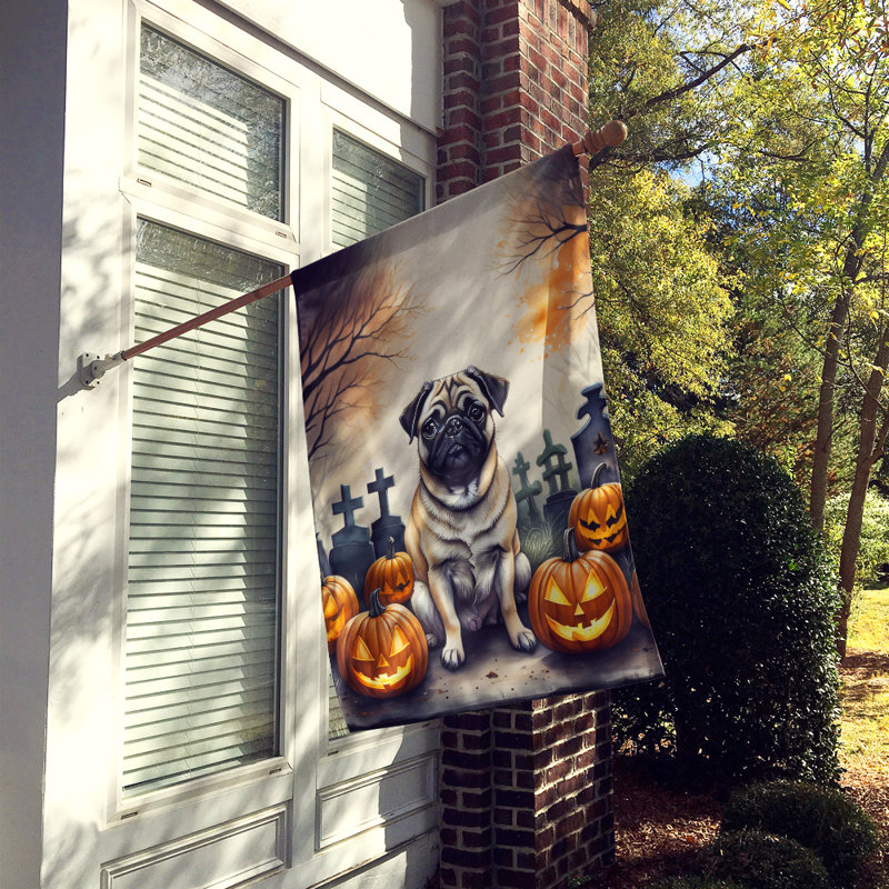 Drapeau de maison d'Halloween en polyester à double face H 40 po x l 28 po