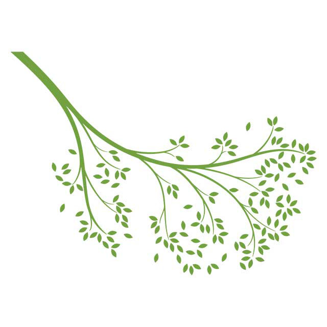Décalcomanie murale branche atteindre, Vert lime
