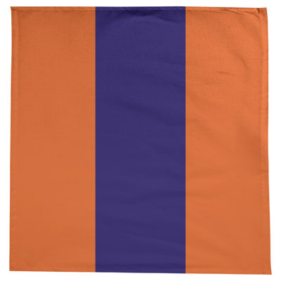 Denver Basketball Tablecloth