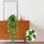 Faux plantes suspendues, 2 pièces de vignes Pothos artificielles verdoyantes pour le mur de la maison, du salon, de la décoration intérieure et intérieure (sans paniers)