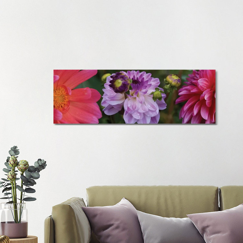 Close-up Of Dahlia Flowers Blooming On Plant III - Wrapped Canvas Panoramic Print, 121.92 cm H x 40.64 cm W x 1.91 cm D