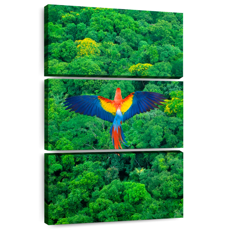 Brampt Rainforest Scarlet Macaw, 45" H x 28" W