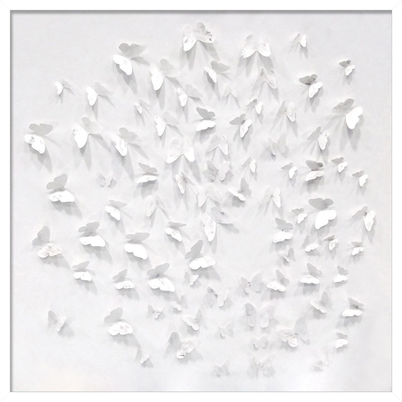 " Silver Butterfly Shadowbox 1 "