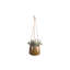Birdene Ceramic Hanging Planter-71160409-71111581