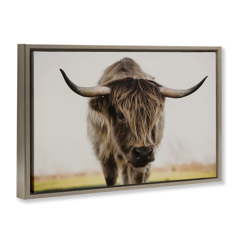 «Longhorn with Piercing Gaze», art mural encadré flottant par Dakota Diener, H 17 po x l 25 po