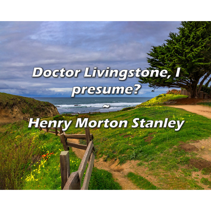 Henry Morton Citation de Stanley: «Doctor Livingstone, je présume?, H 20 po x l 24 po