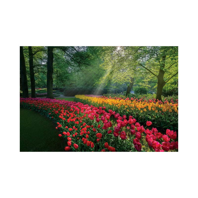 «Special Garden» - Imprimé, H 8 po x l 12 po x P 0,75 po, Toile tendue