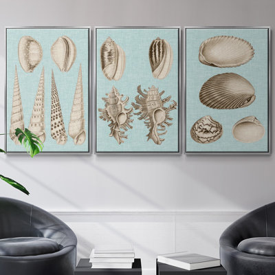 Ensemble de 3 pièces sépia et aqua coquillages IV encadrées sur toile